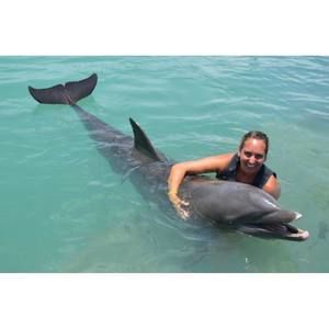 Meet your Posher, Kara